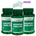 KIT 3X MAGNÉSIO DIMALATO 60 CÁPSULAS MACROPHYTUS + PORTA CÁPSULAS