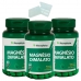 KIT 3X MAGNÉSIO DIMALATO 60 CÁPSULAS MACROPHYTUS + PORTA CÁPSULAS