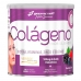 COLÁGENO HIDROLISADO VERISOL + VITAMINAS 200G BODY ACTION
