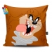 ALMOFADA DECORATIVA TURMA LOONEY TUNES