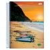 CADERNO UNIVERSITÁRIO CAPA DURA 200 FOLHAS 10 MATÉRIAS BRASILIDADE JANDAIA