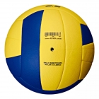 BOLA DE VOLEI OFICIAL 2.5 RAINHA